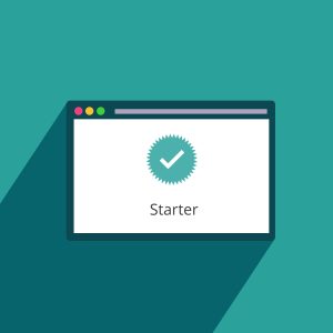 Pay Monthly Website: Plan 1 – Starter Package