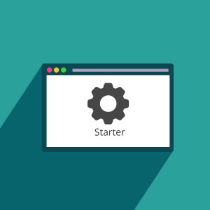 Website Setup: Plan 1 – Starter Package