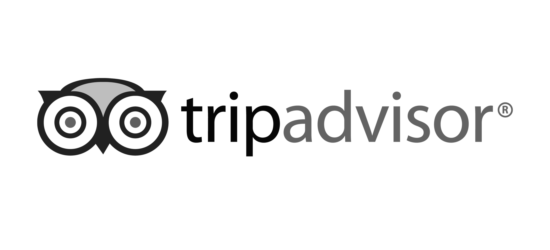 TRIP ADVISOR